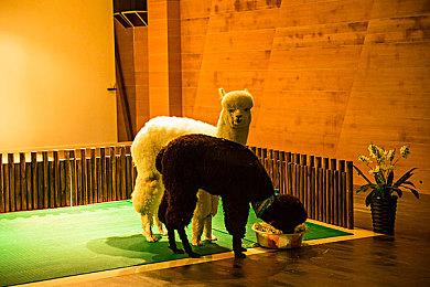 《穿越火线》VR新作支持四人合作 2023年登录PS